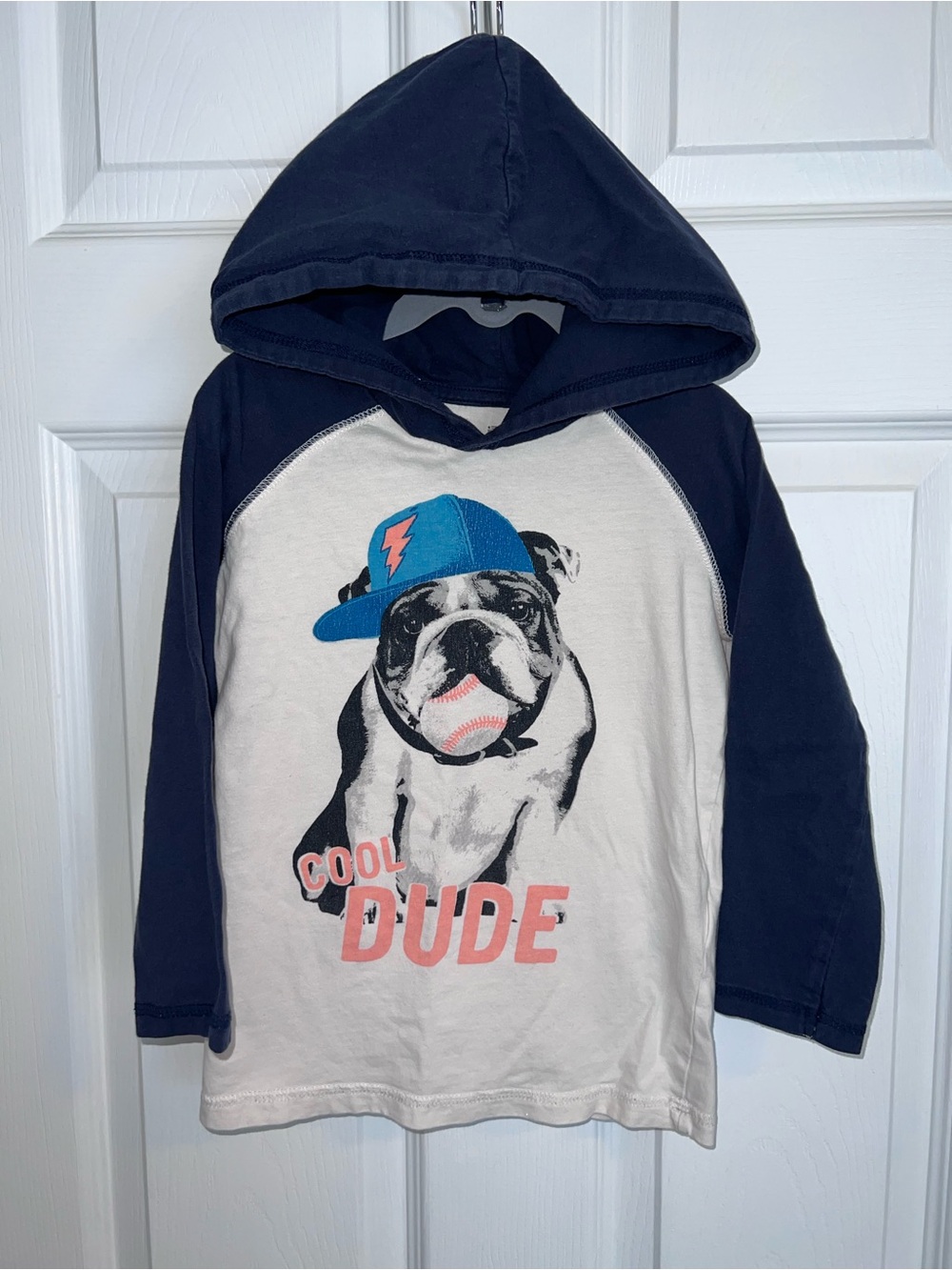 Cool Dude Bulldog Hoodie Tee 5/6